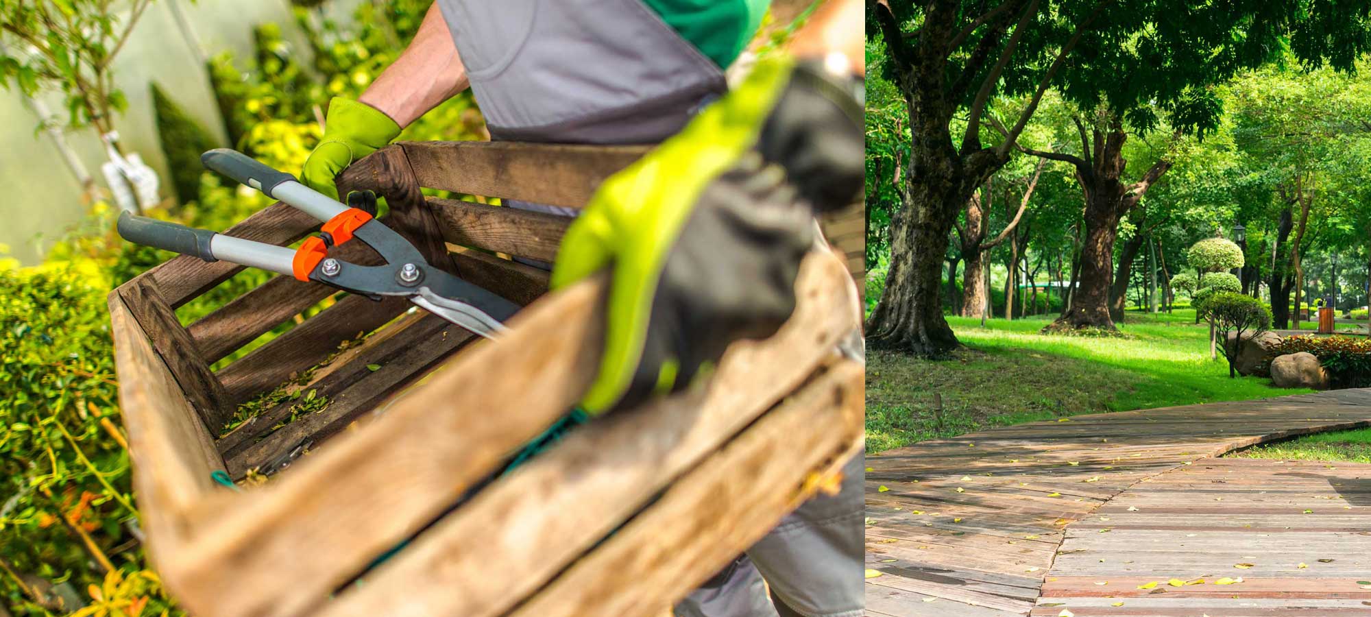 Horticulture services aux entreprises