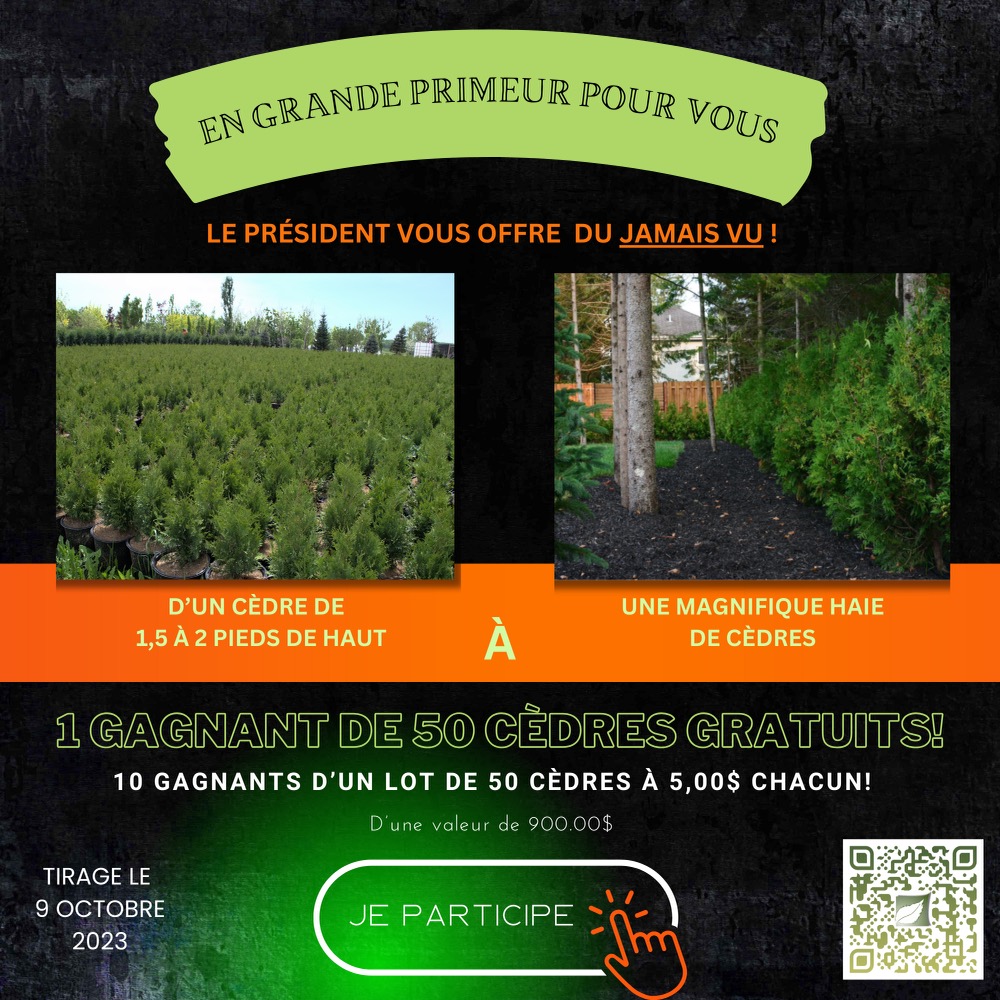 Concours haie de cèdre - 7